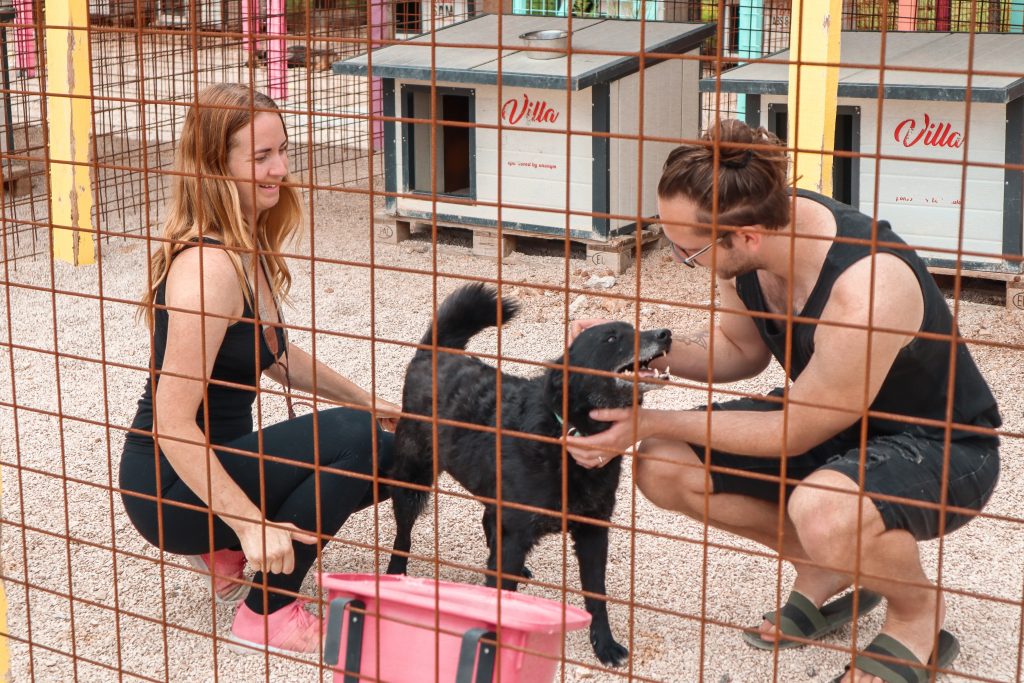 Zadarski Azil Croatian dog rescue shelter in Zadar